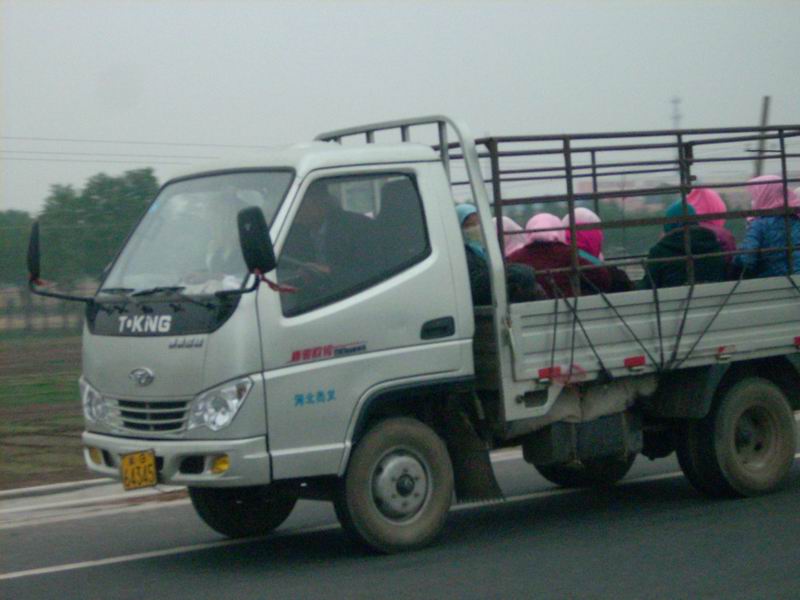 母亲不辞劳苦打工