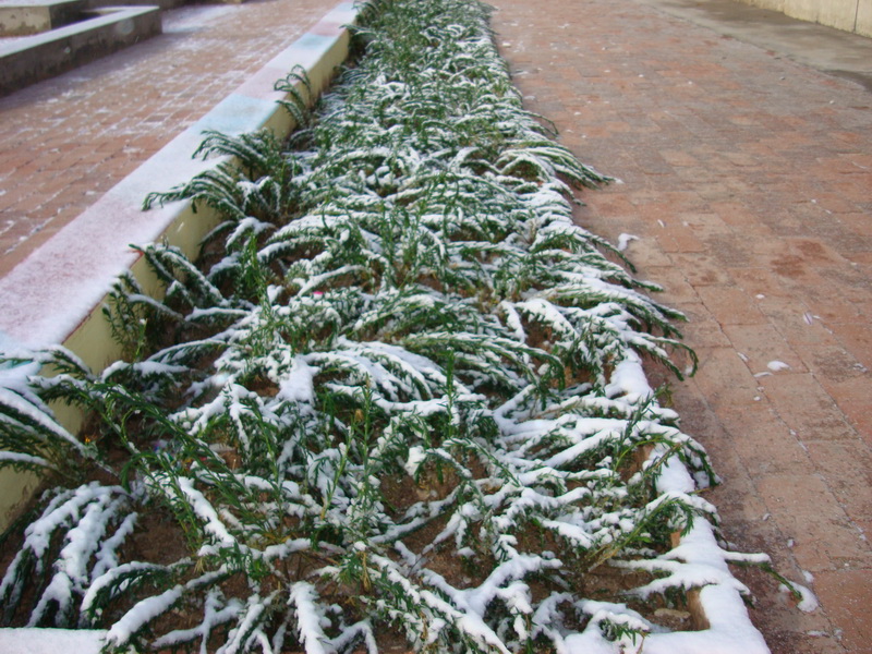 谁让你来的这么早