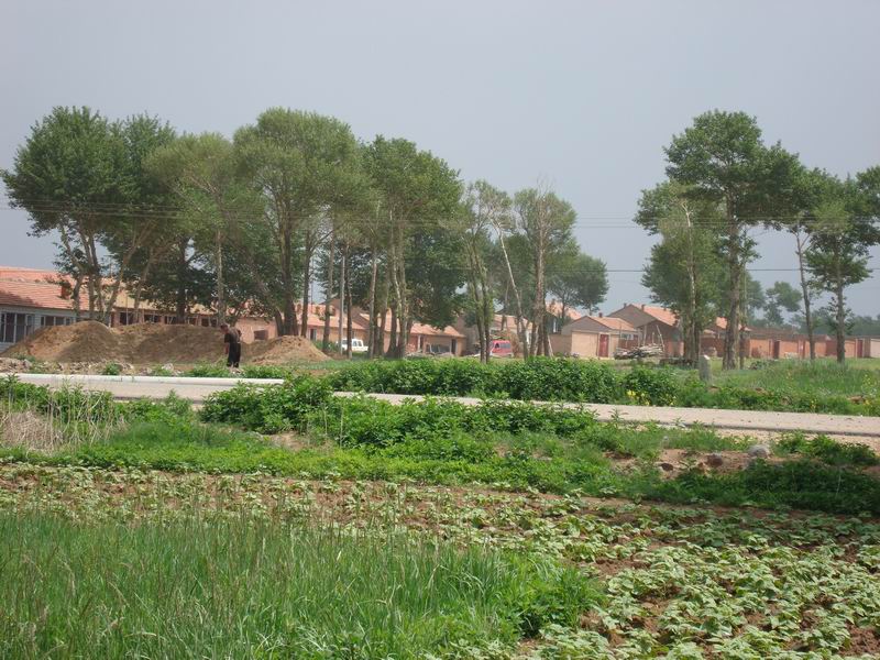 我要安静，我要生长