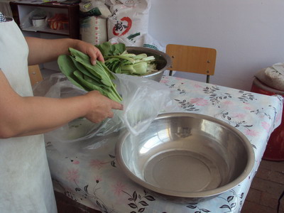 妈妈，您辛苦了