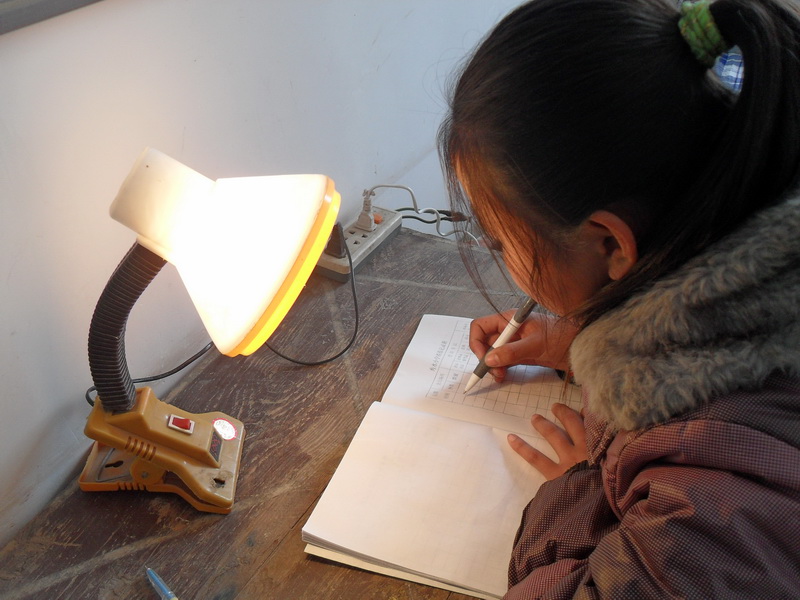 不知疲惫的陪伴着我