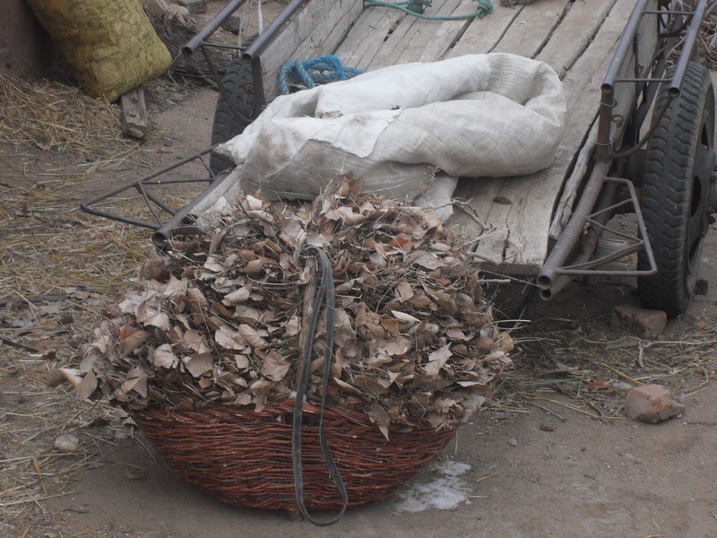 生活在自己净土上的，依旧是那样是生活着。