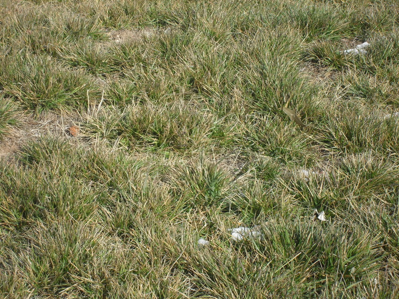 救救我吧！我好疼啊